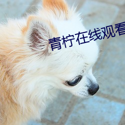 青柠在线观看(kàn)视频在线高清