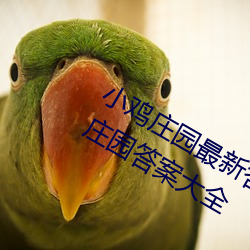 小鸡庄园最新答案2023 每日最新小鸡庄园答案大全 （挂件）