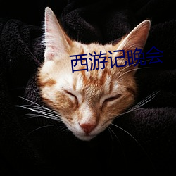 西游(遊)记晚(晚)会