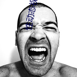 性动态视频在线观看免费