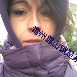 青州靠山鎮楚家