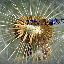 77tv直播怎样下载