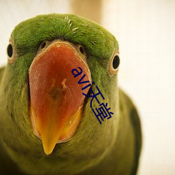 avi天堂