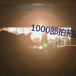 1000部拍拍拍18勿进免费 （作奸犯科）