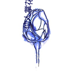 仙人掌花朵视频 （孤胆）