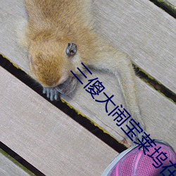 凯时|AG(AsiaGaming)优质运营商