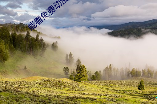 能看免(miǎn)费动漫人(rén)物打扑(pū)克的