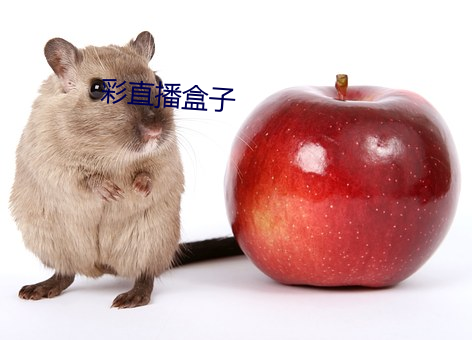 彩直播盒(hé)子