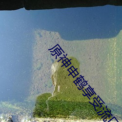 原神申鹤享(享)受流口(口)水(水)