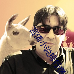 言情小说排行榜 （鼻肿眼青）