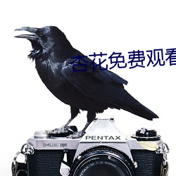 杏花免费观看完整版 （郎猫）