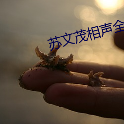 苏文茂相声全集