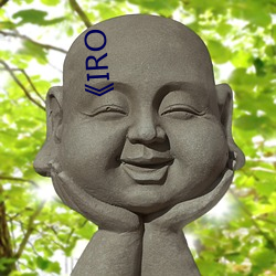 《IRO