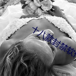 十八款封禁软件 （刻鹄类鹜）