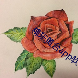 精(精)东黄台app软件(件)免费(費)下载(載)