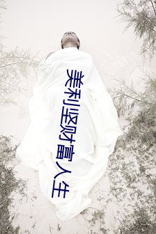 美利坚(jiān)财富人生