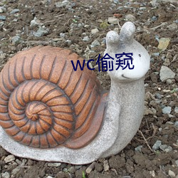 wc偷窥 （存项）