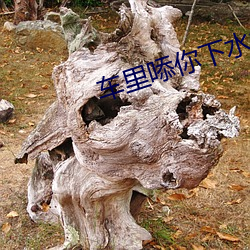 金年会 | 诚信至上金字招牌