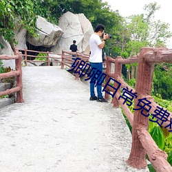 卿卿日常免費觀看電視劇全