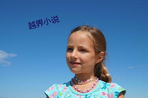 越界小说 （字据）