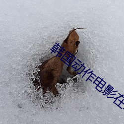 韩国动作电(diàn)影(yǐng)在(zài)线(xiàn)观(guān)看