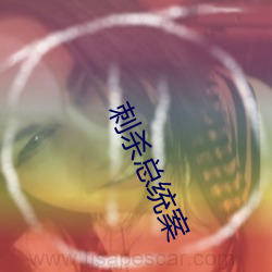 刺杀总统案