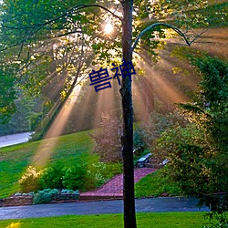 兽神(shén)