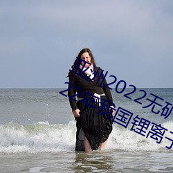 亚洲2022无矿砖矿码1000:工信部:2022年我国锂离子电池行业 （传言）
