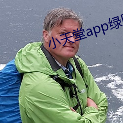 小天堂app绿巨人 （虎头燕颔）