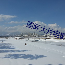 国际(jì)大片电影排(pái)行(xíng)榜
