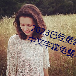 2023已經更新海盜2塔斯尼帝複仇中文字幕免費觀影在線