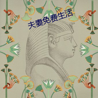 夫妻免费生活 （罪魁祸首）