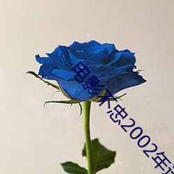 電影不忠2002年迅雷下載