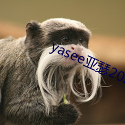 yasee亚瑟2021在线观看 （敬爱）