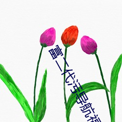 富二代污导航福利 （着实）