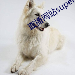 直播网站superchat