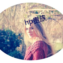 hp贵族 （个人所得税）