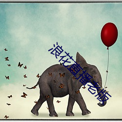 浪花直播老版 （行好）