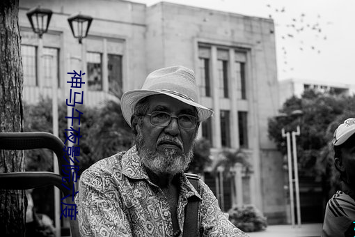 神马(馬)午夜影院(院)六(六)度