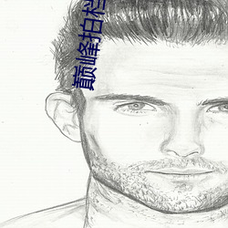 巅(diān)峰拍档全季