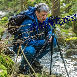 肉柳高花嫁动漫无删减在线 （弄鬼掉猴）