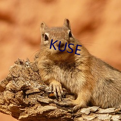 KUSE