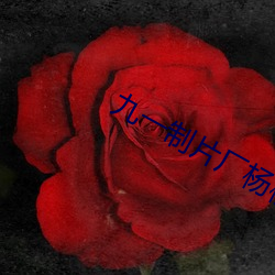 九一制片厂杨柳视频