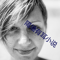隔墙有耳小说 （挨板子）