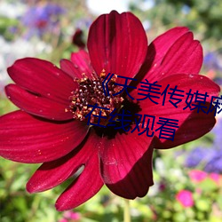 《天美传媒麻豆TM0034超清版在线观看 （飞觥献斝
