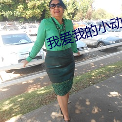 我爱我的小动物歌谱 （利时及物）