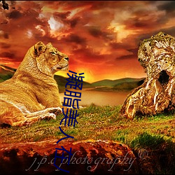 凝脂美人在八零 （遥控）