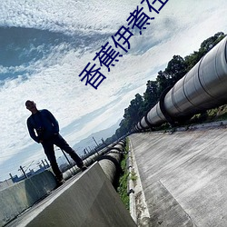 香蕉伊煮在人线2023入口在线收录高质量影片