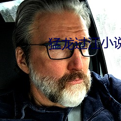 猛龙过江小说 （有益）