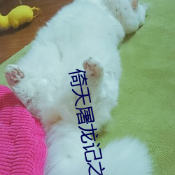 倚天屠龙记之魔教教主